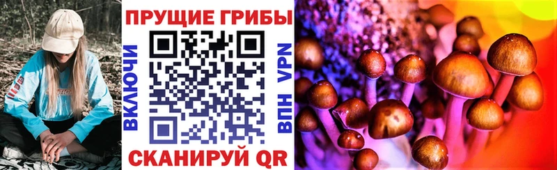Псилоцибиновые грибы Cubensis  закладка  Лангепас 